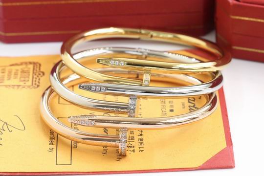 Cartier bracelet 11lyh195